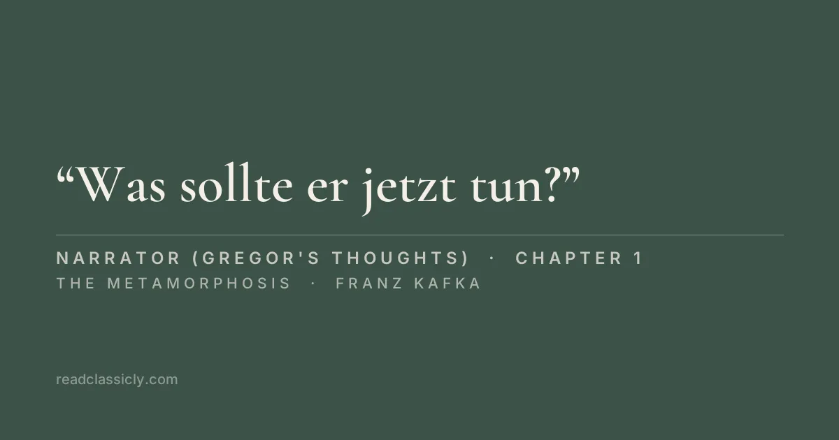 The line "Was sollte er jetzt tun? Der nachste Zug ging um sieben Uhr; um den einzuholen, musste er sich unsinnig beeilen, und die Kollektion war noch nicht eingepackt, und er selbst fuhlte sich durchaus nicht besonders frisch und beweglich." from The Metamorphosis, chapter 1